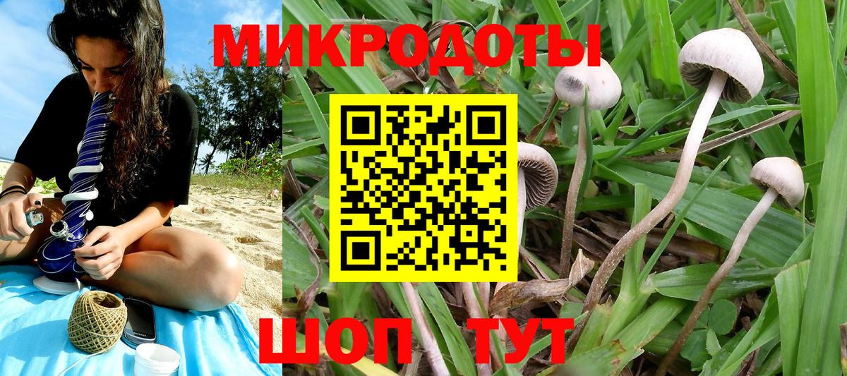 Псилоцибиновые грибы GOLDEN TEACHER Кузнецк