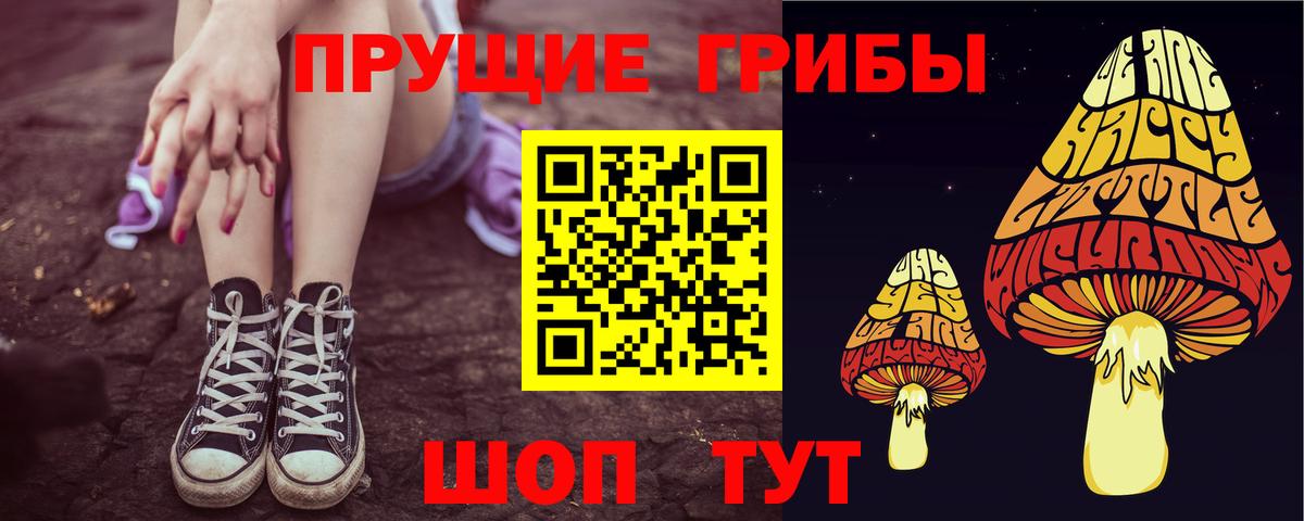 Псилоцибиновые грибы мицелий  Галлюциногенные грибы Psilocybe  Вход с VPN  Кузнецк 